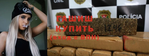 индика Зеленокумск