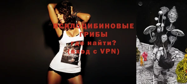 spice Зеленодольск