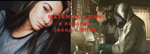 индика Зеленокумск