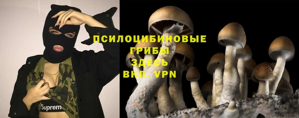 индика Зеленокумск