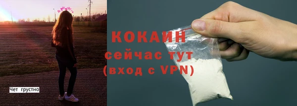 индика Зеленокумск