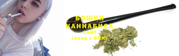 индика Зеленокумск