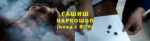индика Зеленокумск
