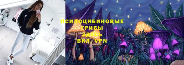 spice Зеленодольск