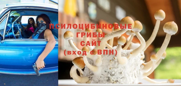 индика Зеленокумск