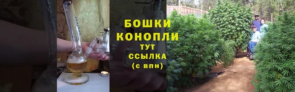 spice Зеленодольск