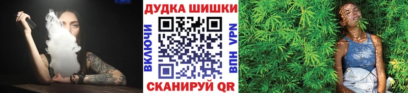 Бошки марихуана SATIVA & INDICA  Купить закладки  Камызяк 